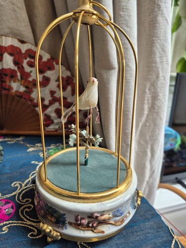 Charming singing moving - moving, bird