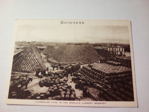 Guiness vintage postcard g12 - guiness,