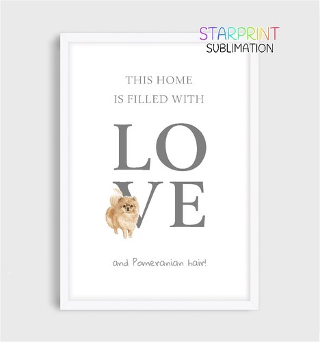 Pomeranian this home - "this, home"