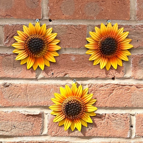 Small sunflower garden - small,