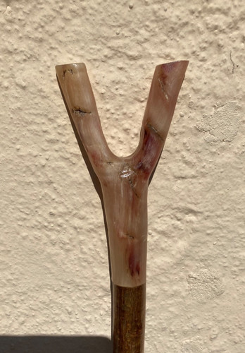 Tall rams horn thumb - rams,