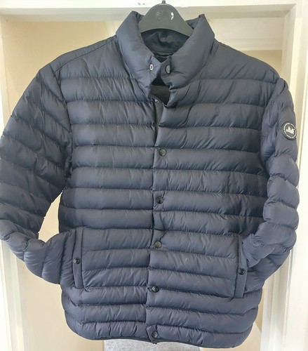 Peaceful hooligan puffer - peaceful,