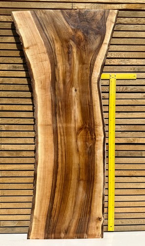 European walnut live - european,