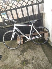 Raleigh Men's Road Bike