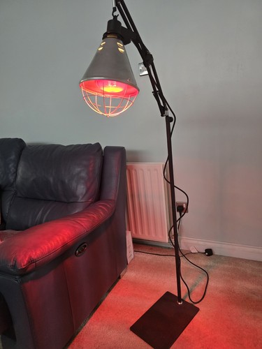 Infrared heat lamp poultry - infrared,