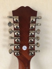 Epiphone Hummingbird 12 String