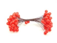 Xmas Dried Fruit Wreath