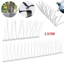 Pigeon Bird Spikes Metal Wall