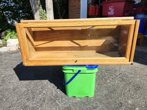 Globe wernicke oak - 11,
