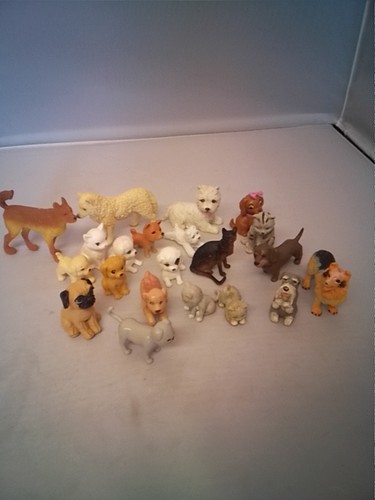 Dogs and cats - and, plastic