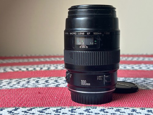 Canon 100mm 8 - ef, prime