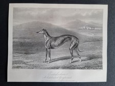 Antique 1856 print - Hunting -
