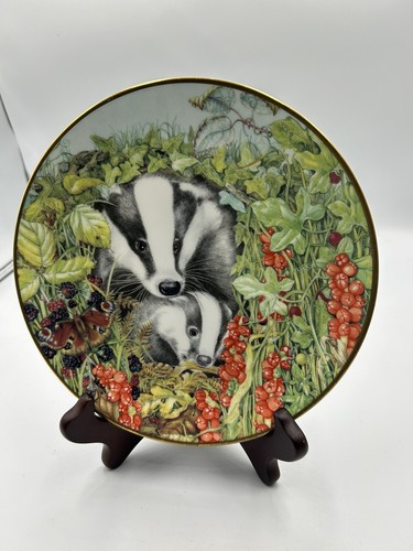 Royal kendal collectors - kendal,