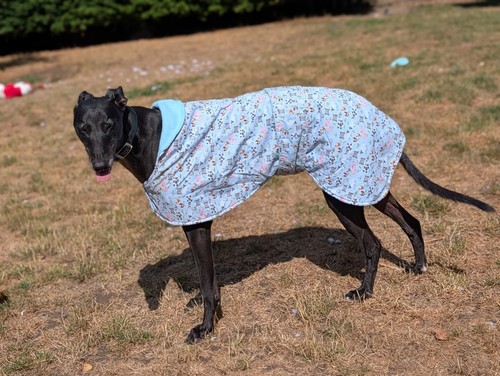 Lightweight greyhound coat - lightweight,