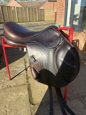 Equipe 17inch Expression Jump