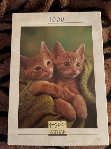 Ginger kittens shared - ginger,