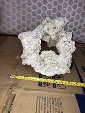 TB9 Unique Shaped 4KG Dry Live