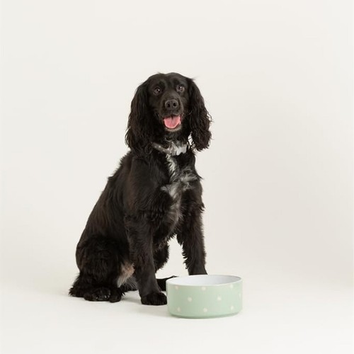 18cm mason cash - cash, sage