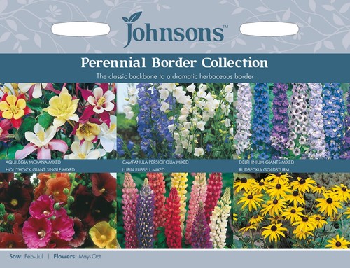 Perennial flower seeds border - flower,