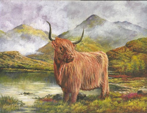 Original highland cow painting - highland,