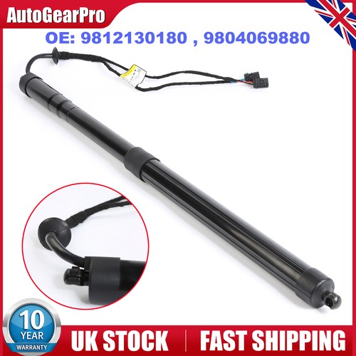 Left electronic tailgate - electronic, strut