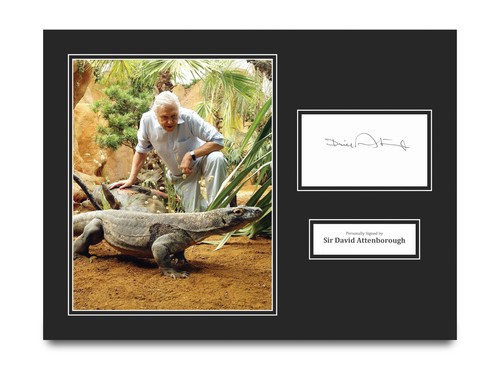 Sir david attenborough - sir,
