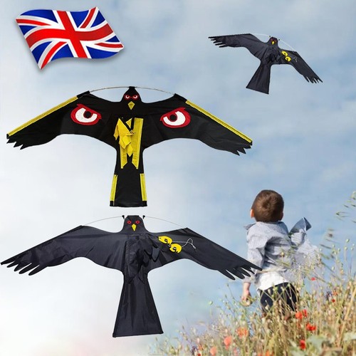 Realistic flying hawk - flying,
