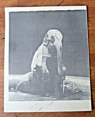 Bertram mills circus 1959 tour - 1959,