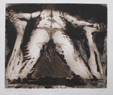 Willibrord Haas Dorsal Male