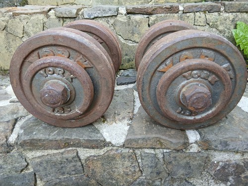Kgs dumbbells cheap - dumbbells,