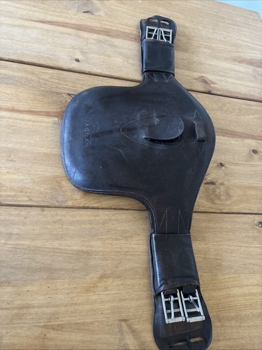 Harry dabbs jaguar - 28”,