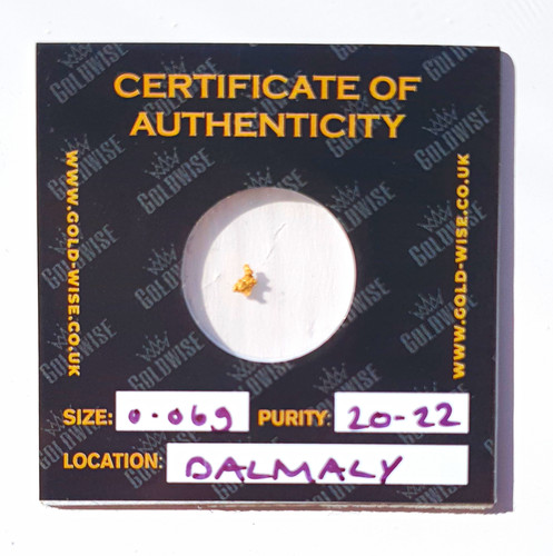 Goldwise gold nugget 069g - gold,