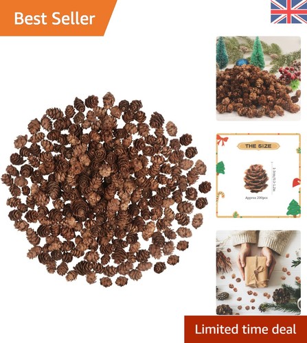 200 pieces christmas - pieces, pine
