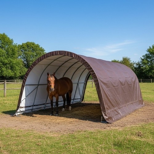 Horse and pony - and, shelter