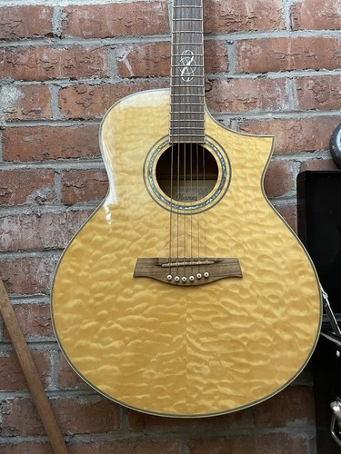 Ibanez acoustic guitar - ibanez,