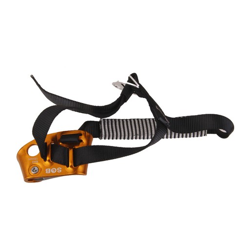 Outdoor rock climbing tree - climbing,