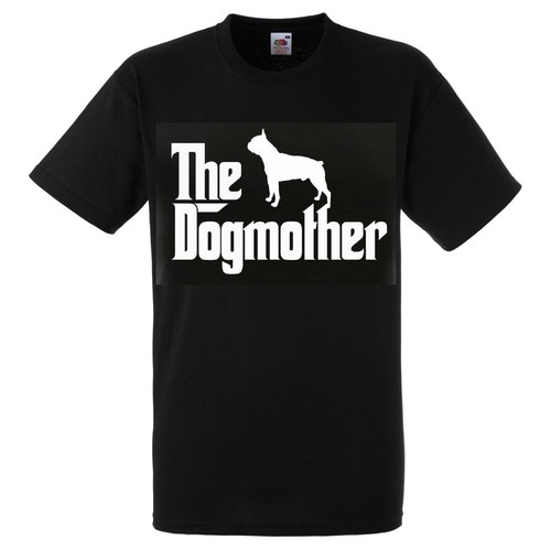 Boston terrier dog - mother, t
