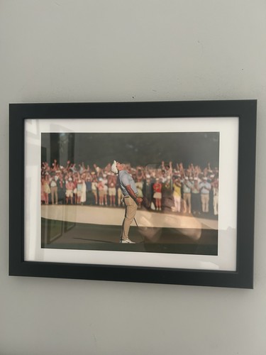 Rory mcilroy winning the - -,