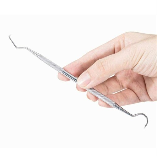 Dentist teeth clean hygiene - teeth,
