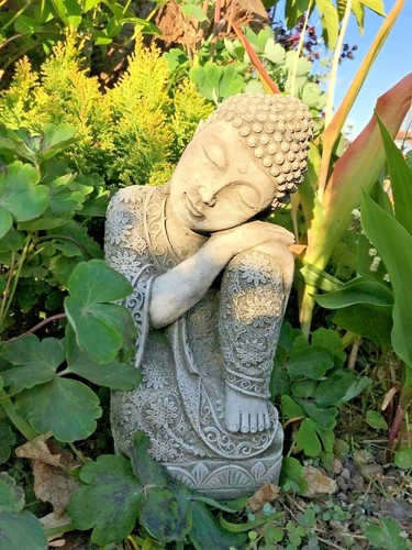 Buddha sitting head knee - head, on