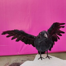 Large Crow Model Simulation Crow Ghost Festival Crow Props Halloween FI