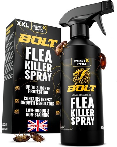 Flea killer spray - spray, pest