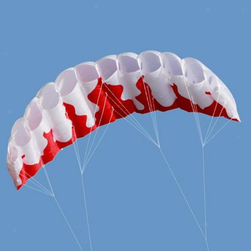 Stunt power kite - stunt, lightweight