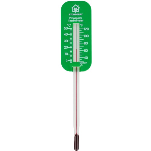Stowberry greenhouse soil - stowberry,