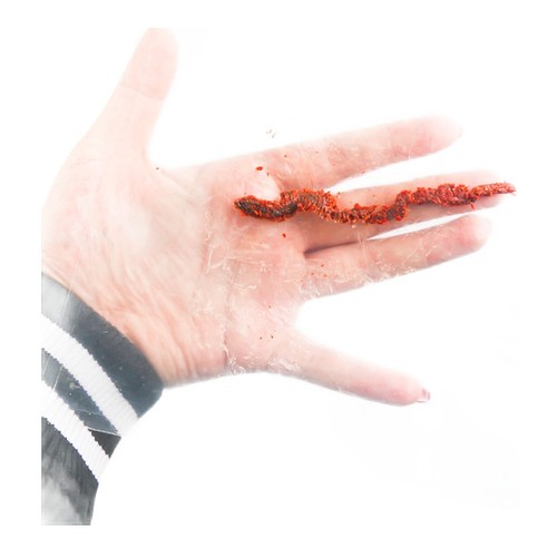 Pickled lugworm bait 85g for - 85g,