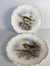 Vintage Wall Plates - Royal Albert Woodland Bird Plates - Blue Tit & Robin - 8”