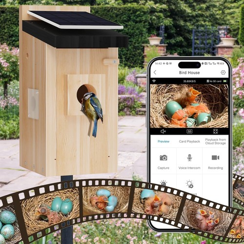 Smart bird house camera - smart,