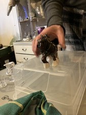 Melba Ware Shire Horse In Tack