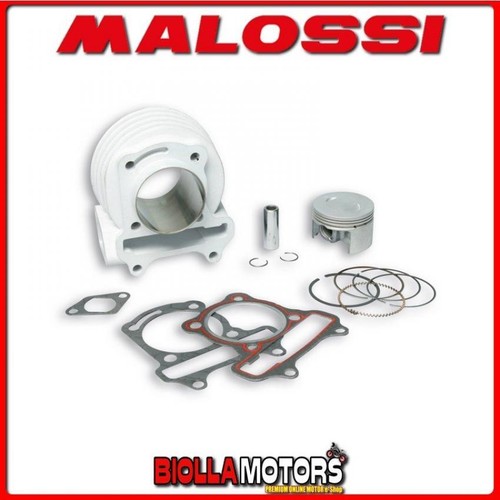 3113243 cylinder malossi - malossi, 88cc