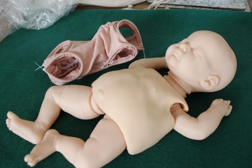 Baby azalea laura - baby,